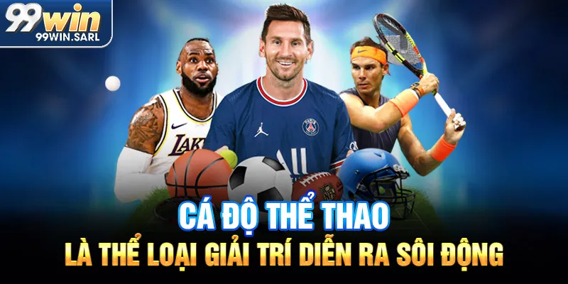 Cá độ thể thao là thể loại giải trí diễn ra sôi động