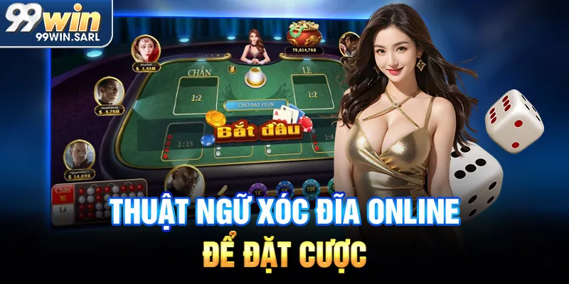 Thuật ngữ xóc đĩa online để đặt cược