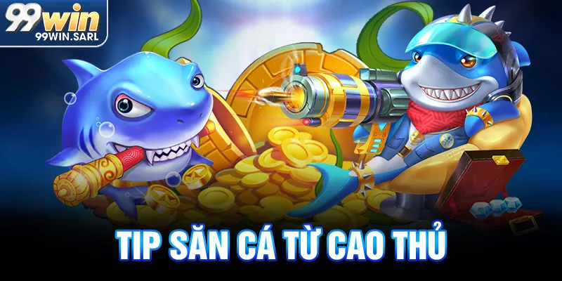 Tip săn cá từ cao thủ