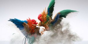 Kinh nghiệm tham gia Đá gà Thomo hiệu quả